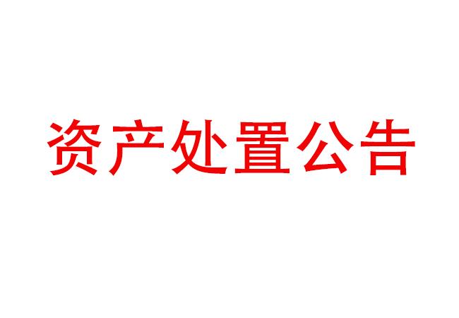 閑置設(shè)備資產(chǎn)處置公告（2023-1)